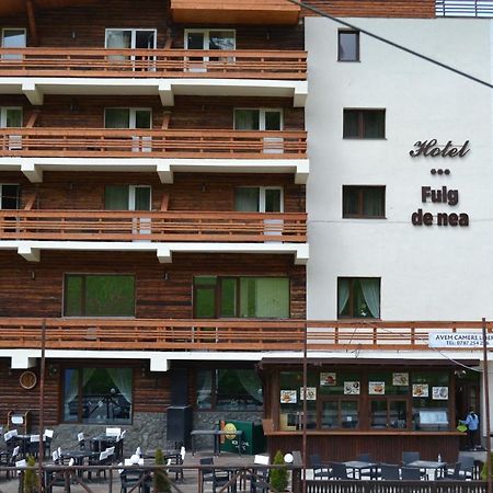 Cabana Fulg De Nea Predeal Extérieur photo
