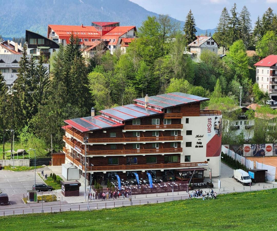 Cabana Fulg De Nea Predeal Extérieur photo
