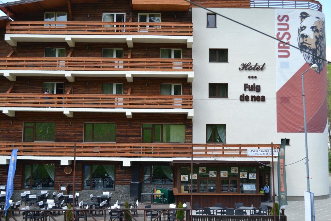 Cabana Fulg De Nea Predeal Extérieur photo