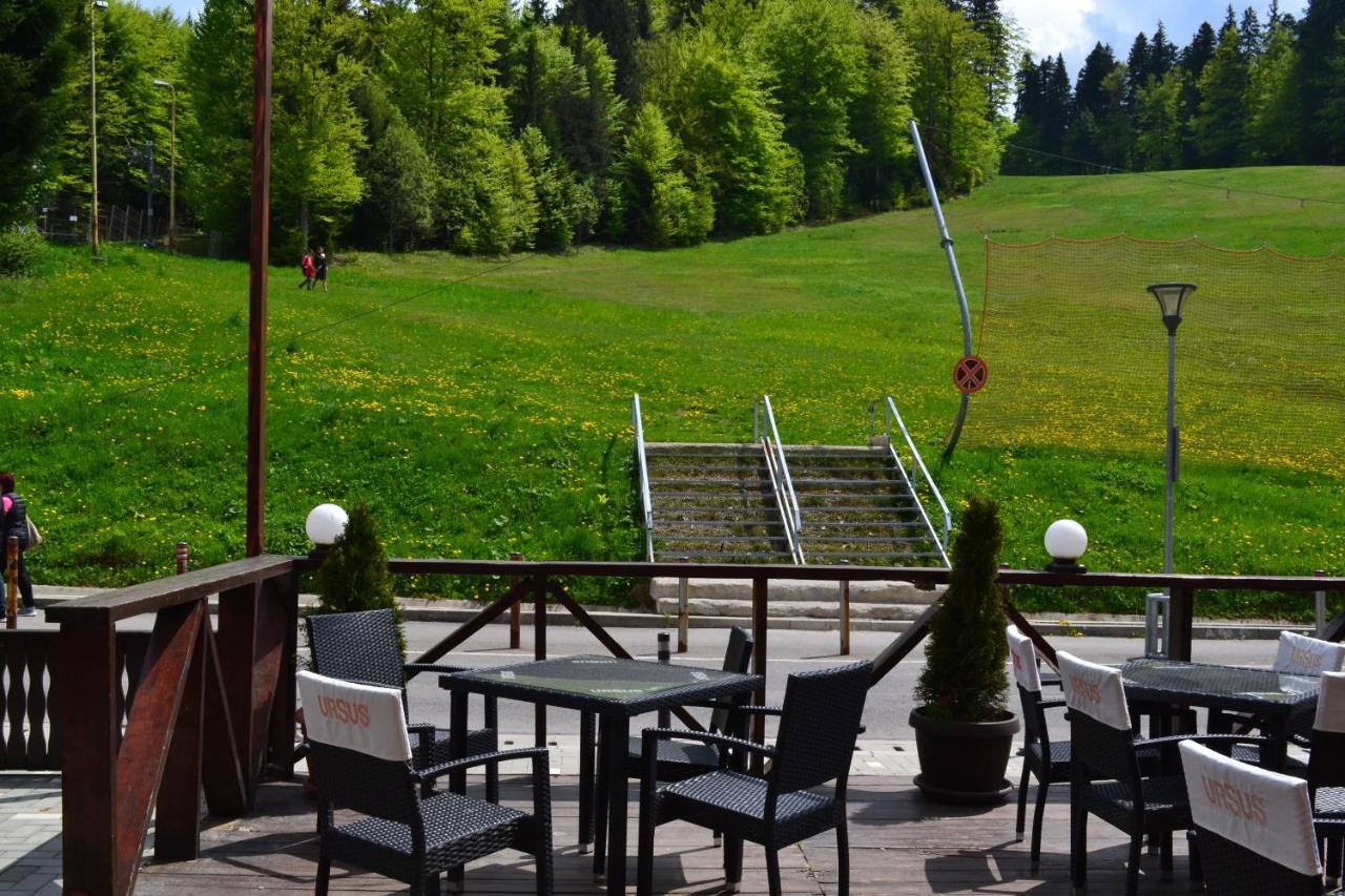 Cabana Fulg De Nea Predeal Extérieur photo
